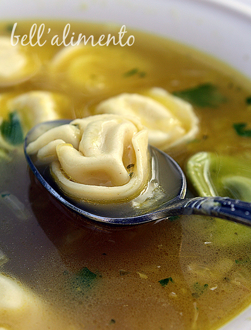 close up of tortellini soup. Spoon in bowl with tortellini on spoon. 