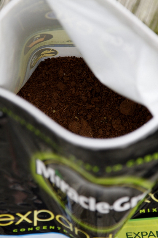 bag of Miracle Gro potting soil