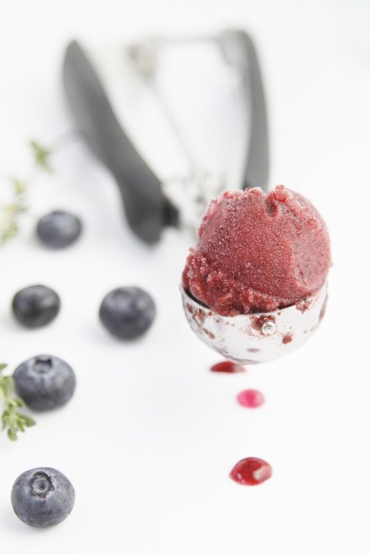 Cooking scoop filled with Blueberry Thyme Sorbet. Blueberries scattered around scoop.