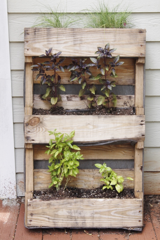 a palette that has been upcycled into an herb garden planter. 