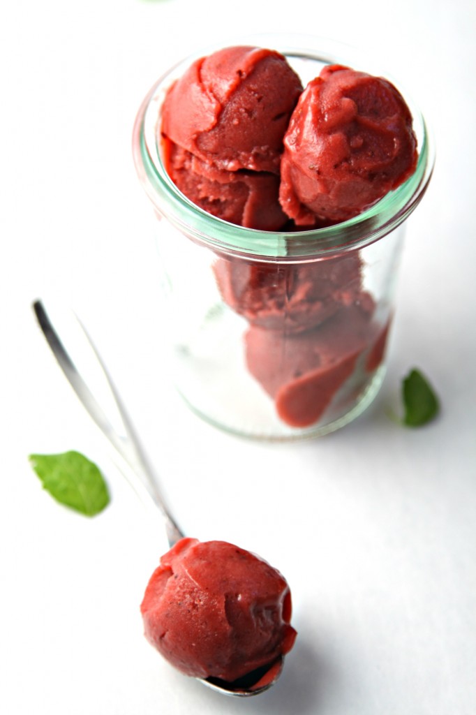 Balsamic Roasted Strawberry Rhubarb Sorbet