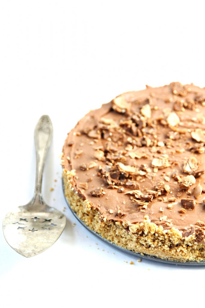 No Bake Nutella Cheesecake with silver pie server
