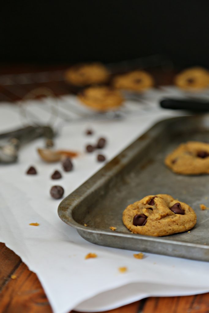 Close up of Pumpkin Chocolate Chip Cookies on baking sheet. Scattered chocolate chips to left. Blurred cooling rack with additional cookies in background.