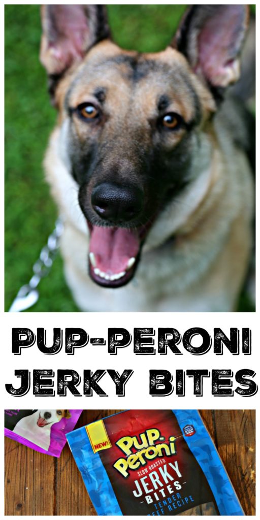 PupPeroni Jerky Bites