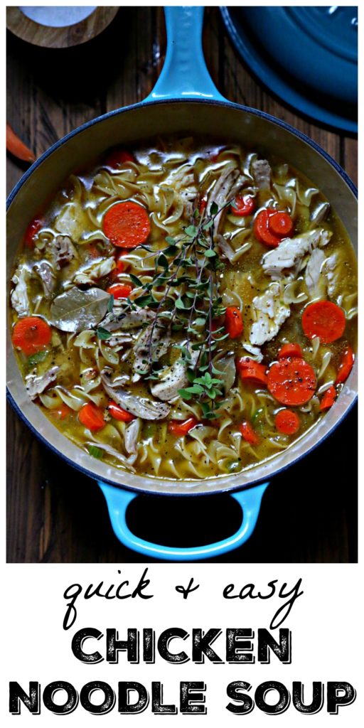 Quick and Easy Homemade Chicken Noodle Soup in Blue Pot