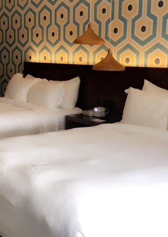 two beds in a hotel room with white comforters.